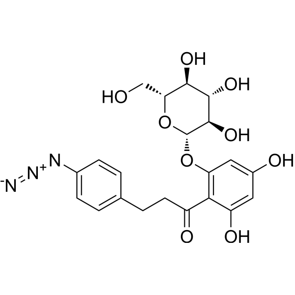 4-Azidophlorizin 79541-46-1